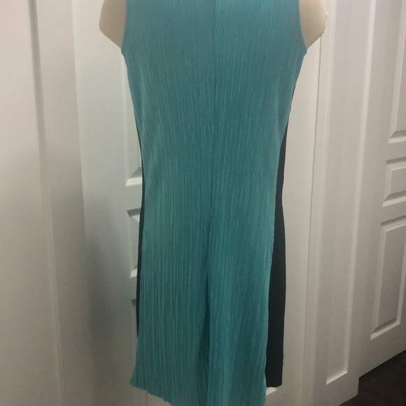 Teal with a black stripes down the sides - Picture 3 of 3